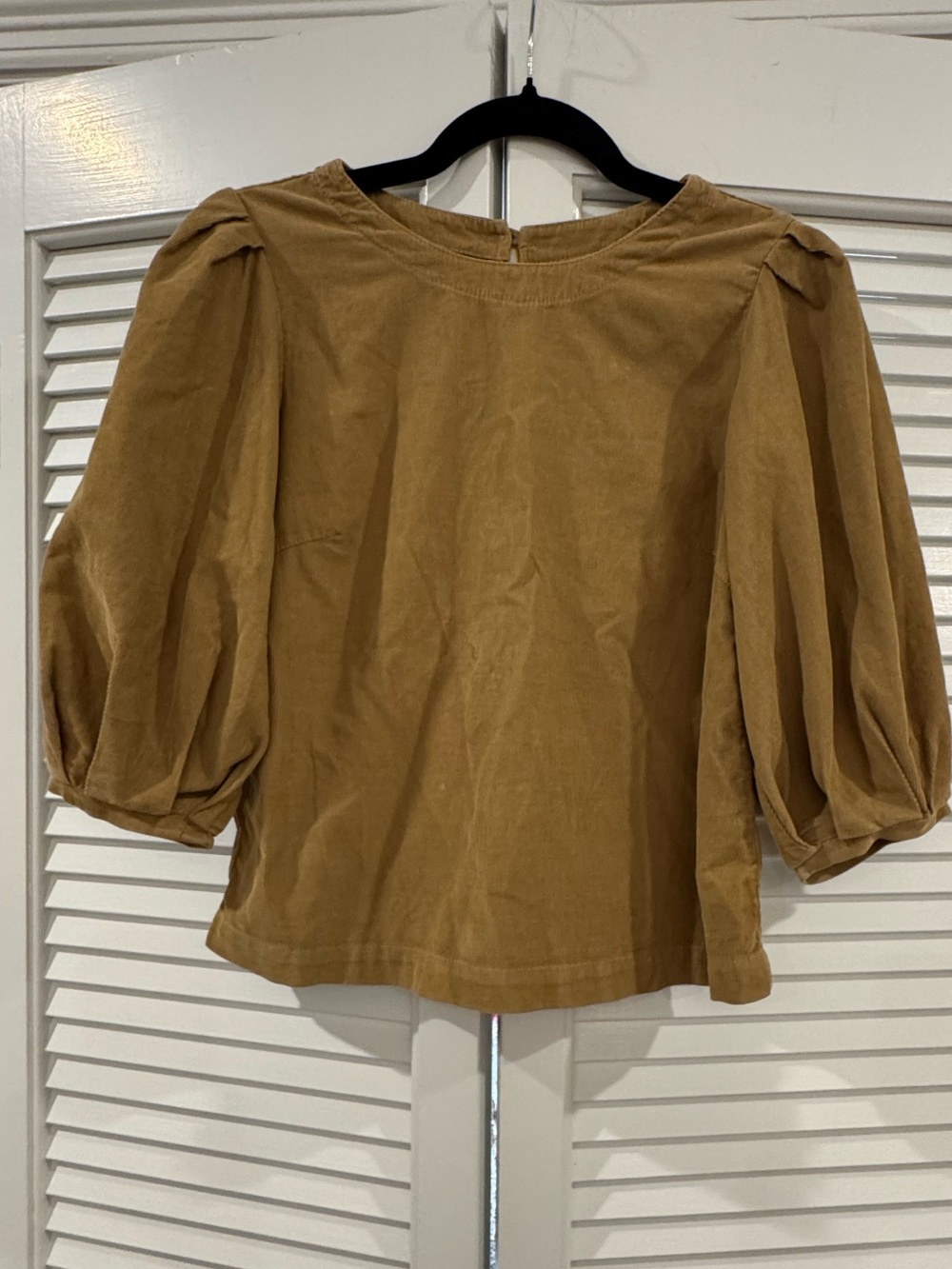 Velvet Puff Sleeve Blouse in Camel Brown